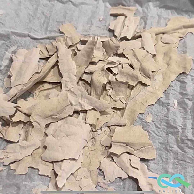 Můj žitný kvásek